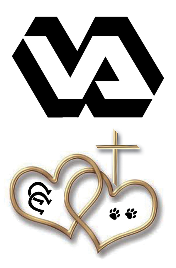 VA Logo